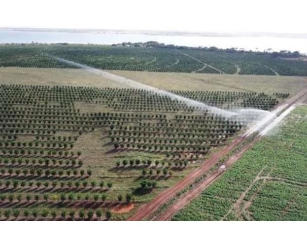 Foto de 1(uma) Gleba de terras, com área de 128,98,84 hectares, denominada, “Fazenda Santa Terezinha”, (Quinhão 1), encravada no imóvel geral “Fazenda Marinheiro”, situada neste Município e Comarca de Cardoso, Estado de São Paulo