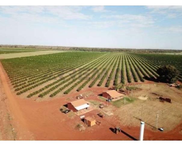 Foto de 1(uma) Gleba de terras, com área de 128,98,84 hectares, denominada, “Fazenda Santa Terezinha”, (Quinhão 1), encravada no imóvel geral “Fazenda Marinheiro”, situada neste Município e Comarca de Cardoso, Estado de São Paulo
