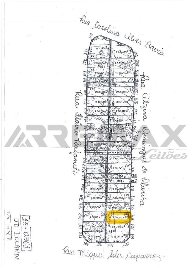 miniatura-1